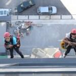 "Örümcek kadın" şehrin dört bir yanında!