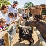 İzmir Doğal Yaşam Parkı'nda ziyaretçi rekoru