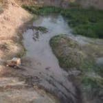 Ağrı Dağı'nın eteklerinde off-road heyecanı