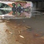 Karabük'te kimyasal madde yüklü tankerin köprüden düşmesi