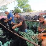 Karadenizli balıkçılarda yeni av sezonu heyecanı