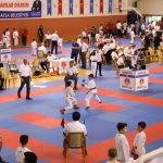 Karadeniz ve Hazar Ülkeleri Uluslararası Karate Şampiyonası