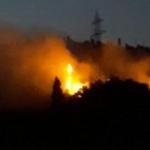 Karamürsel'de orman yangını
