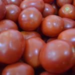 Türkiye'den Avrupa ve ABD'ye "yarı kurutulmuş domates"