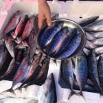 Palamudun tanesi 5 liraya d&uuml;şt&uuml;