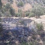 Beydağ'da orman yangını