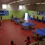 Bedensel engelli masa tenisçiler Dünya Şampiyonası'na hazırlanıyor