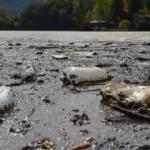 Sera Gölü’nü çöpten cankurtaran temizliyor