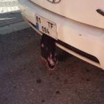 Plakadaki siyah yazma da onları kurtaramadı