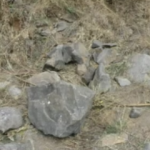 Sedanur'un cesedinin bulunduğu yer görüntülendi