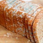 Küflü ekmeğin zararları neledir? Hangi hastalıklara yol açar?