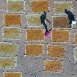 Şanlıurfa tarlalarında inanılmaz görüntüler