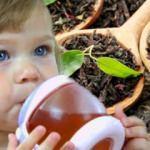 Bebekler çay içebilir mi?