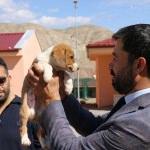 AK Parti'den sokak hayvanları yaşam rehabilite merkezine ziyaret