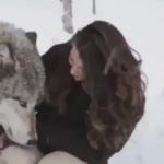 Vahşi kurt ile kadının inanılmaz dostluğu