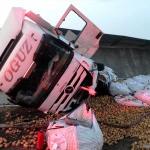 Avanos'ta patates yüklü tır devrildi: 1 yaralı