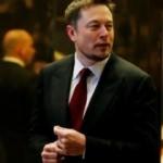 Yatırımcılardan Elon Musk'a Twitter tepkisi!