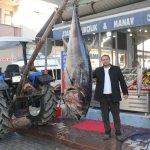 Satın aldığı 320 kiloluk orkinosu sergiledi