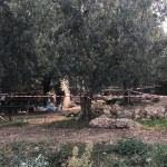 İznik'te zeytin bahçesinden 700 yıllık hamam çıktı