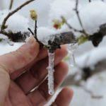 Meteoroloji'den don uyarısı!