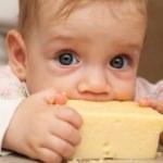 Bebekler için peynir seçimi
