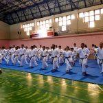 Erzurum'da karatecilere eğitim semineri