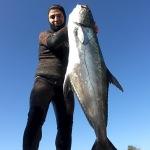 Zıpkınla 40 kiloluk liça balığı yakaladı