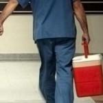 İnternetten satmaya başladılar! Alan da satan da suç işliyor