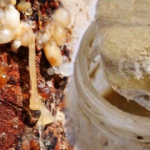 Sığla yağının cilde faydaları nelerdir? Sığla yağı cilde nasıl sürülür?