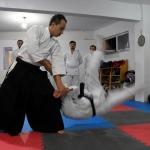 Doktorlar şiddete karşı aikido öğreniyor