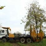 Kocaeli metro hattındaki 2 bin 500 ağaç taşındı