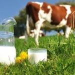 Süt alerjisi nedir? Bebeklerde süt alerjisi ne zaman geçer? İnek sütü alerjisi...