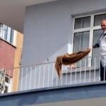 Kardeşlerin kumanda kavgası korkun&ccedil; bitti