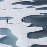 Kuzey Kutbu, tarihinin en sıcak 5 yılını geçirdi