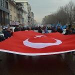 Çin'in Doğu Türkistan politikalarına tepkiler