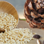 Çam fıstığının besin değerleri nedir? Çam fıstığının faydaları nelerdir?