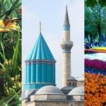 Konya'da gezi rehberi