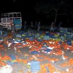 Muğla'da sebze yüklü kamyon devrildi: 3 yaralı