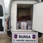 Bursa'da kaçak et operasyonu