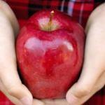 Çürük elmalar nasıl değerlendirilir? 