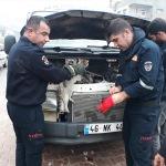 Minibüsün motoruna sıkışan kedi kurtarıldı