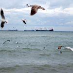 Marmara'da ulaşıma poyraz engeli