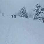 Kar esaretinden kurtulmak için 5 kilometre yürüdüler