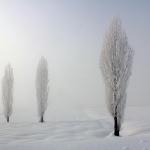 Doğu Anadolu'da kar yağışı ve soğuk hava