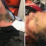 Kayseri'den sonra şimdi de Kırşehir! 9 k&ouml;pek...