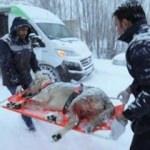 Yaralı köpek için karda 37 kilometre gittiler!