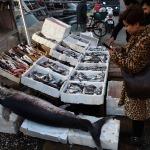Balıkçıların ağına 70 kiloluk kılıç balığı takıldı