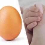 28 milyon beğeni ile rekor kıran yumurta