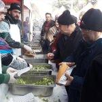 G&ouml;lc&uuml;k'te hamsi festivali başladı