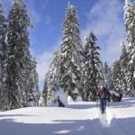 Ilgaz Dağı'na "doğa sporcuları" için kardan ev